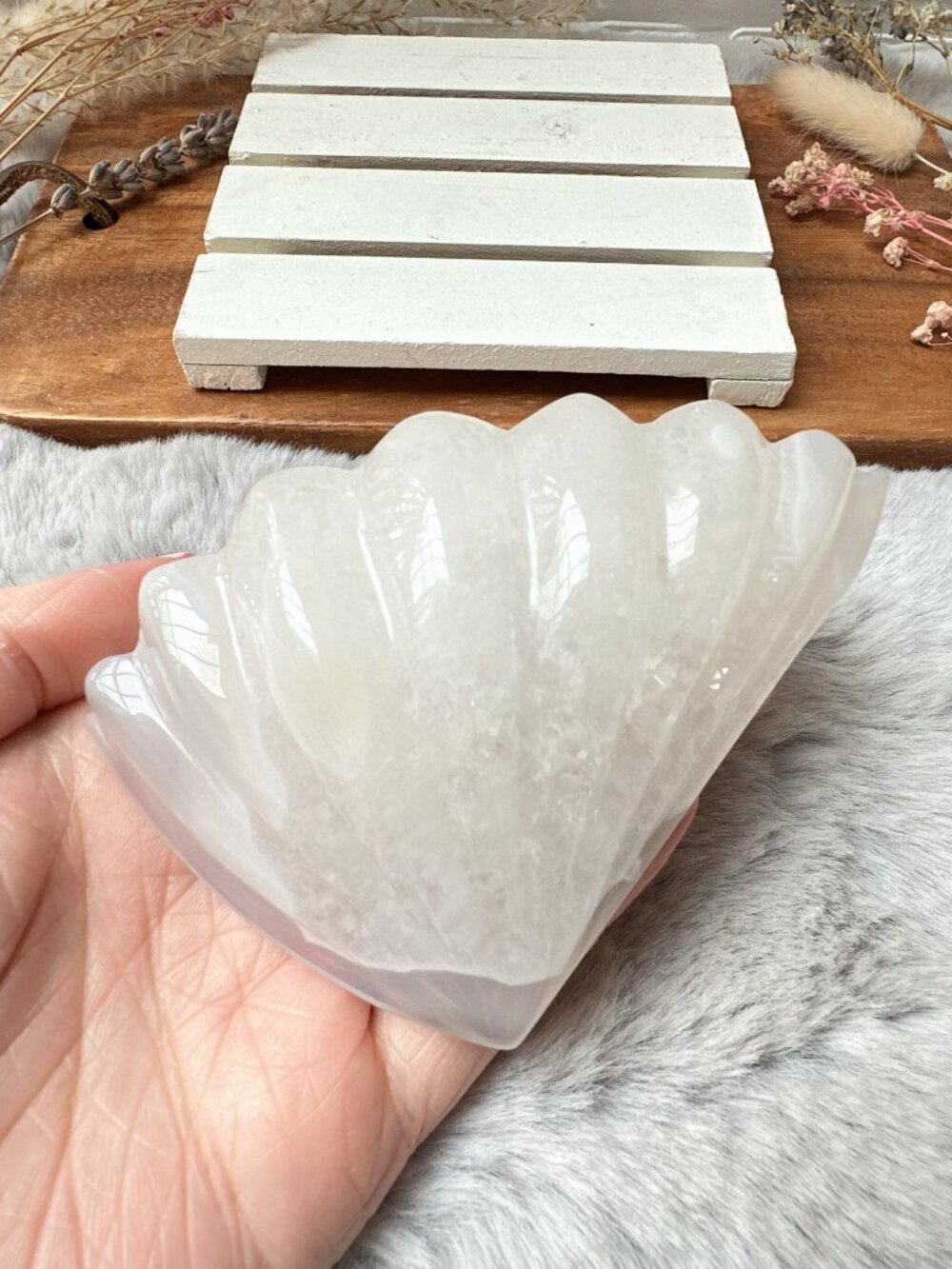 Gorgeous Druzy Agate Seashell Carving